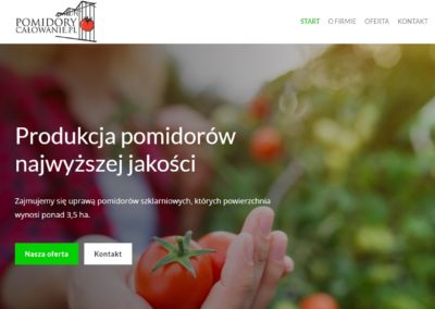 strona internetowa firmy pomidory calowanie